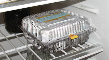 Стратификация семян ромашки аптечной в холодильнике