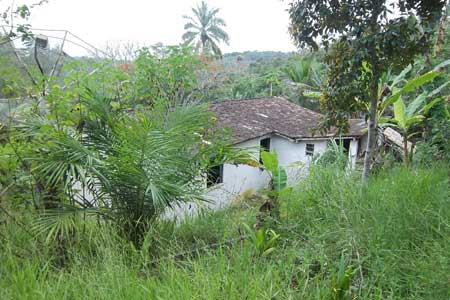 Дом в бразильской деревне